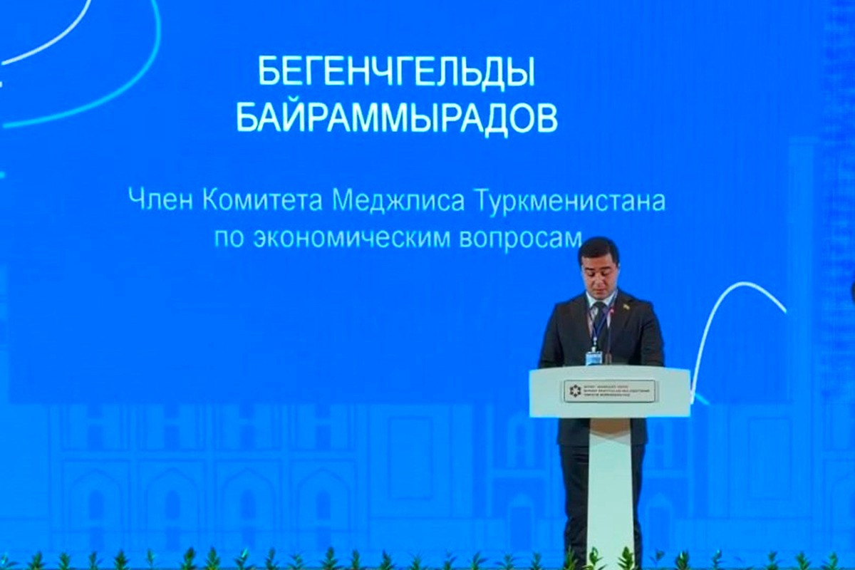 Отмечена важность расширения сотрудничества в топливно-энергетической сфере в формате «Центральная Азия — Китай»